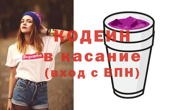 мдпв Верея