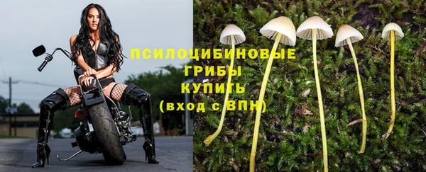герыч Волоколамск