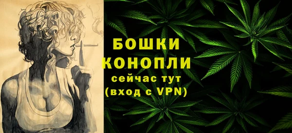 мдпв Верея
