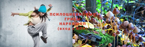 крисы Володарск