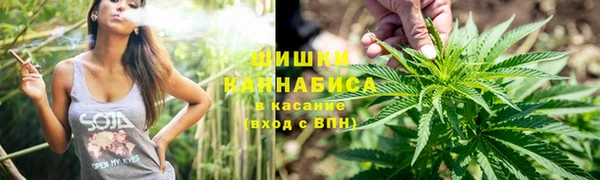 мдпв Верея