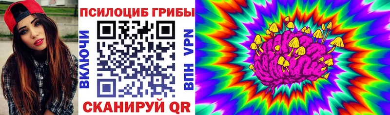 Псилоцибиновые грибы ЛСД Зеленодольск